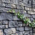 Guía completa de revestimientos de piedra: tipos, usos y beneficios